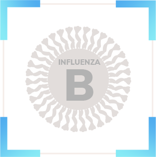 influenza B