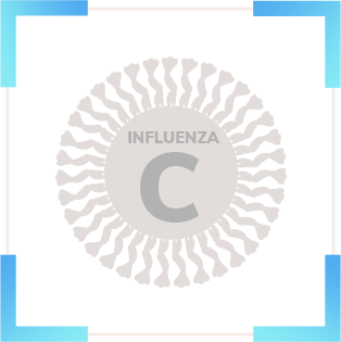 Influenza C