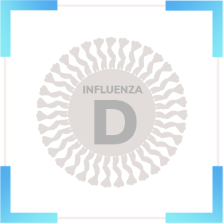 Influenza D