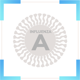 influensa A